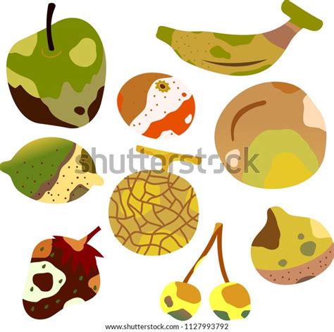 Rotten Fruit Illustration Set 2 Stock Vector Royalty Free 1127993792