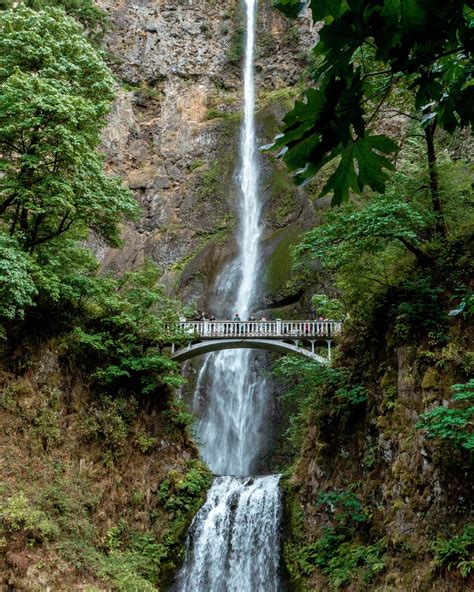 Experience the Ultimate Guided Waterfall Adventure From Portland