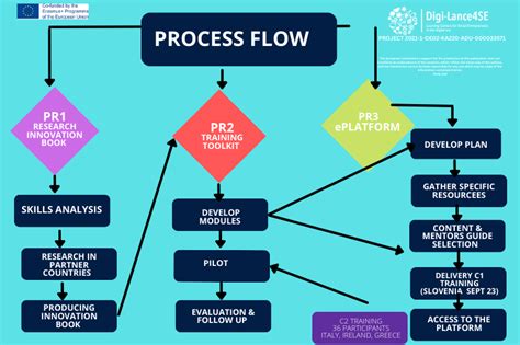 understanding  project impact results outcomes digilance