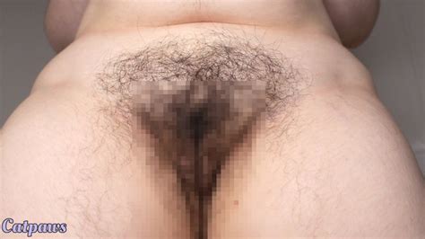 Thrusting My Hairy Pussy At You Catpaws Clips Clips Sale