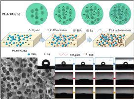 PLA TiO2 Lg填料竞争和协同作用对复合发泡材料结晶行为力学和功能的影响 Polymer X MOL