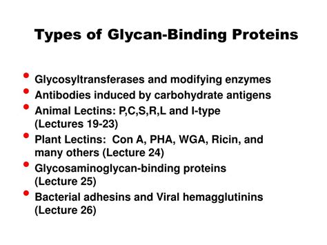 Ppt Principles Of Glycan Recognition Powerpoint Presentation Free