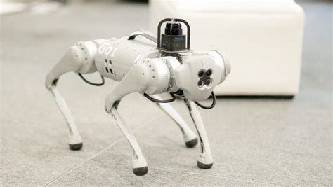 These Ai Powered Robotic Pets From China Are Now For Sale