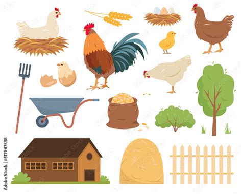 Chicken Farm Hens Rooster And Baby Chicks Farm And Incubator