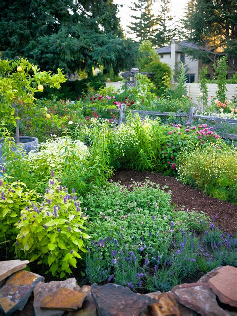 4 Easy-Care Flower Bed Ideas - Sunset - Sunset Magazine