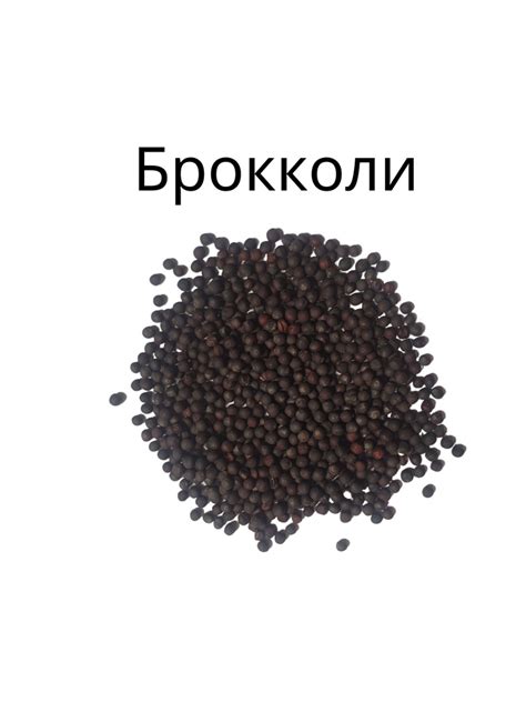 Брокколи Набор для проращивания микрозелени 5 урожаев - купить с ...