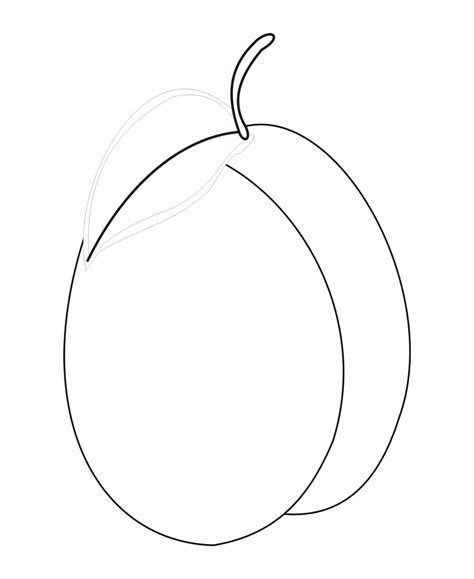 Раскраска Слива Распечатать бесплатно