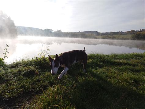 My first photos with xperia 1IV? : r/SonyXperia