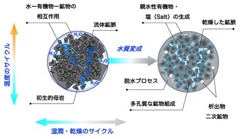 小惑星リュウグウの水に満ちた化学進化の源流と水質変成の証拠 ―アミノ酸や核酸塩基にいたる原材料を発見―｜お知らせ｜東北大学大学院理学研究科・理学部