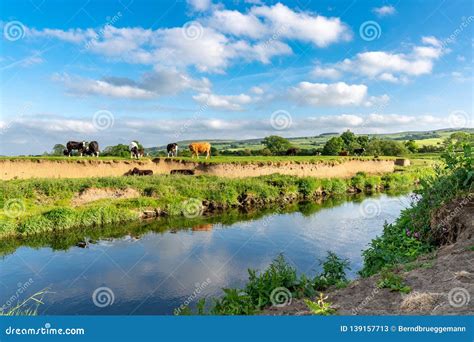 River Aire, Near Skipton, North Yorkshire, England, UK Editorial Stock ...