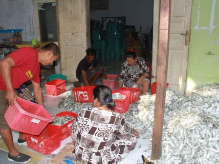 Produksi Ikan Asin Pulau Sebira Dipasarkan Ke Berbagai Wilayah