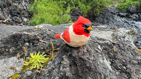 Wooden Northern Cardinal Bird North American Cardinal Bird Figurine ...