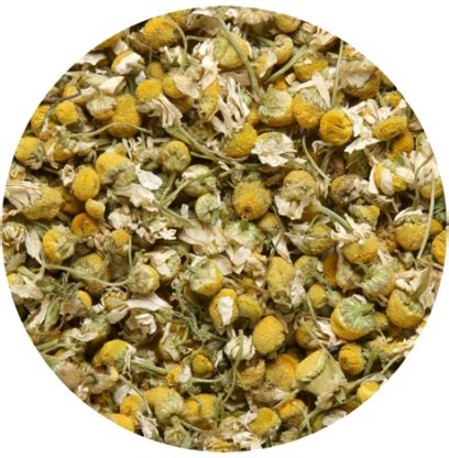 Tisane Camomille Vertus Bienfaits Et Pr Paration Compagnie Co