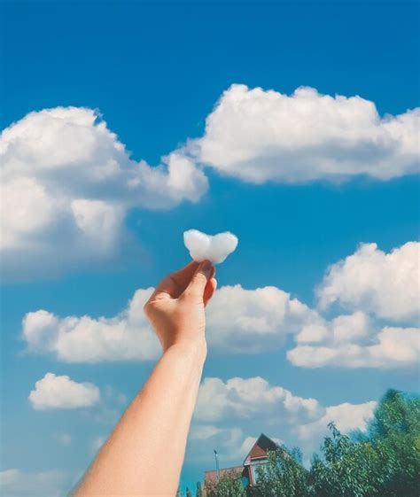 Premium Photo Cropped Hand Holding Flower Against Sky