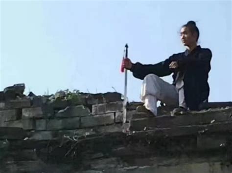 Master Liu Yu Ting - Wudang Kung Fu School