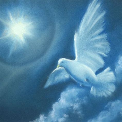 Peace On Earth Peace On Earth Peace Dove Images