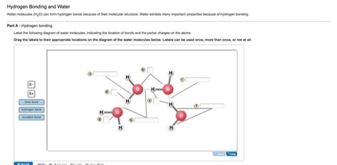 Solved Hydrogen Bonding And Water Water Molecules H 2o