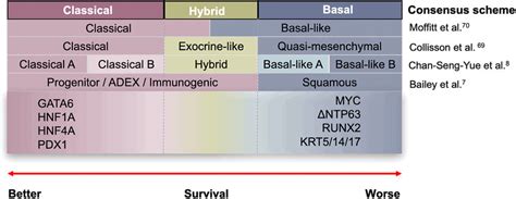 Transcriptomic Subtype Classifications And Surrogate Markers Of Pdac Download Scientific