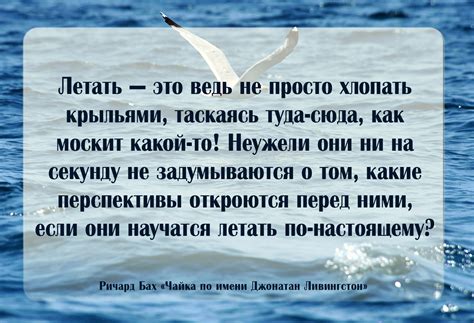 Вдохновляющие цитаты из книги Ричарда Баха «Чайка по имени Джонатан ...