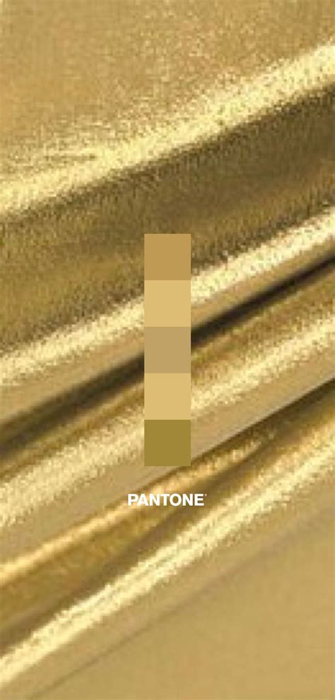 Pantone 871c Metallic Gold Color | Wyvr Robtowner
