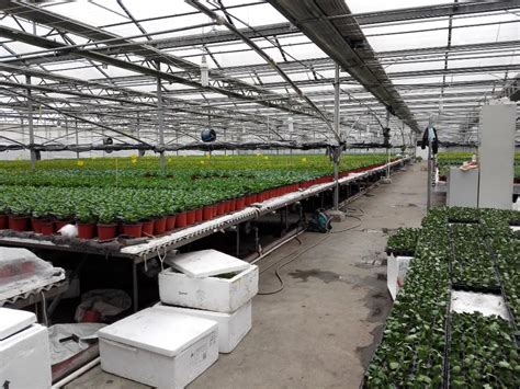 Greenhouse Planting Vegetable Seed Bed Planter Platform Buy Seed Bed