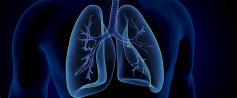 lung function services