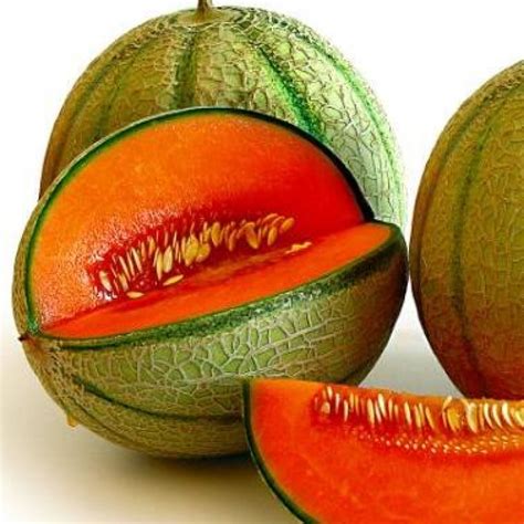 Musk Melon Kharbuja F1 Hybrid Seeds Buy Online At