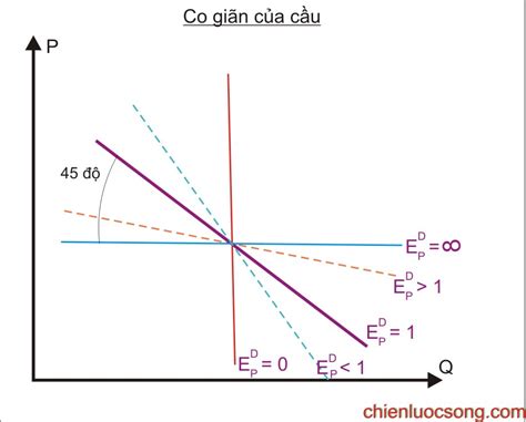 Kinh tế học (P7: Co giãn của cung và cầu) - Chiến lược sống