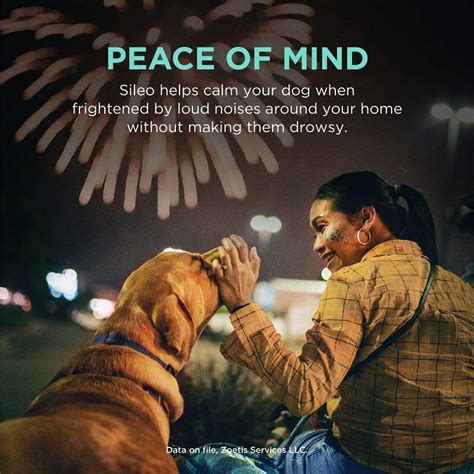 sileo gel  dogs giant eagle pet pharmacy