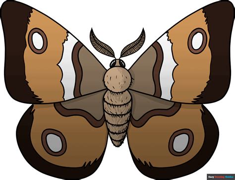 How To Draw A Moth Really Easy Drawing Tutorial