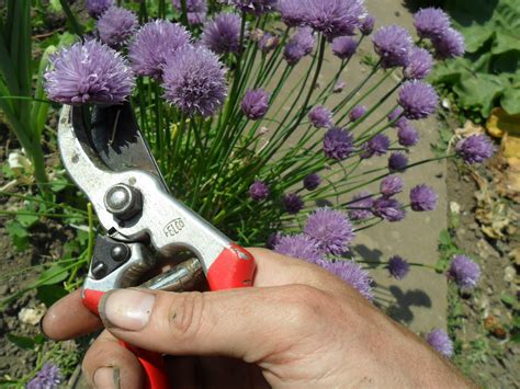 Master the search tools on the gwinnett county qpublic website 35