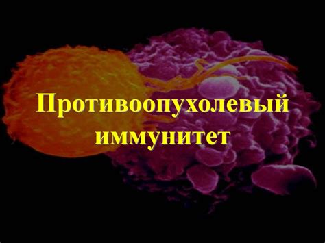 Противоопухолевый иммунитет - презентация онлайн
