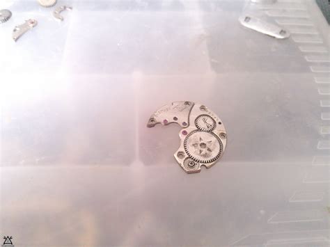 Кольцо из мусора — МозгоЧины