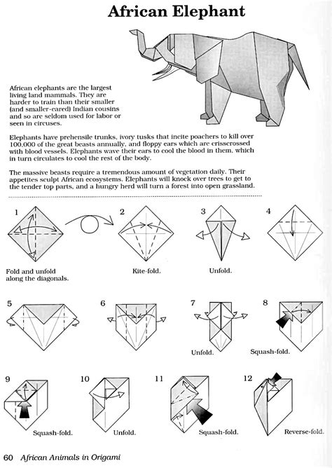 Origami Elephant Pdf