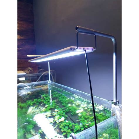 jual stand lampu aquascape  tanaman aquascape shopee indonesia