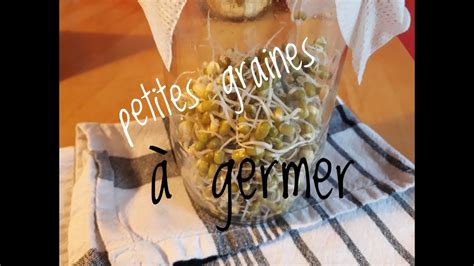 Faire Germer Ses Graines Avec Un Germoir Fait Maison Youtube