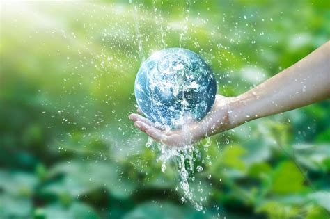 Qual é a importância da água no meio ambiente? - MAR E CURIOSIDADES