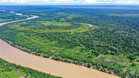 Suaka Margasatwa Rawa Singkil Penopang Hidup Dunia