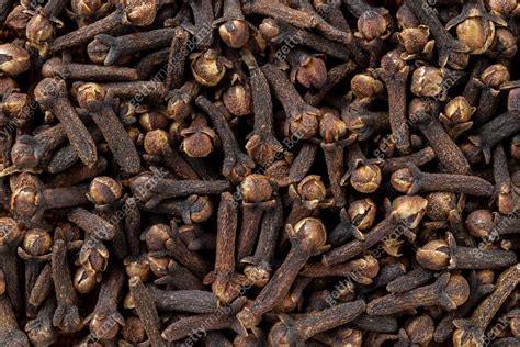 clove spice texture background  dry clove buds macro syzygium