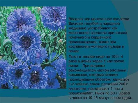 Мочегонные травы в урологии Шабалиной А А ОМП