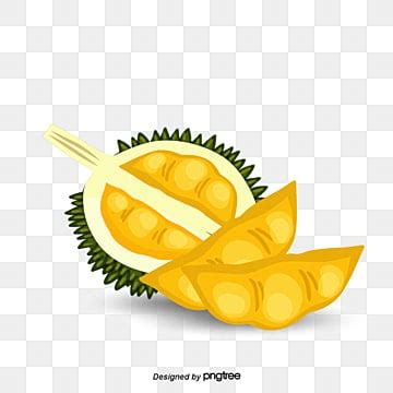 Best Durian Fruit Open Durian Decorate PNG Images with Transparent ...