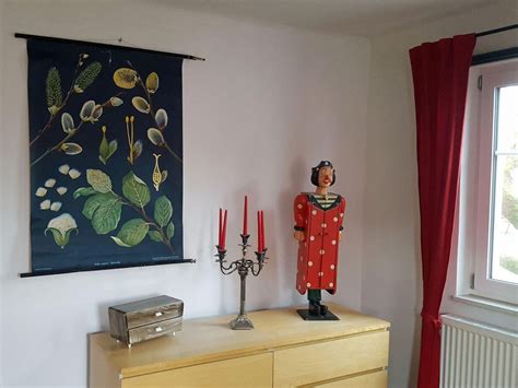 Pussy Willow Salix Caprea Wall Chart Picture Poster By Jung Koch Quentell For Sale At Pamono