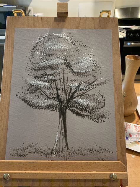 The Professional Journey and Achievements of Scott Palmer 12