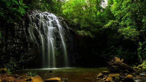 Waterfalls From Rock Pouring On River Surrounded By Green Trees Forest