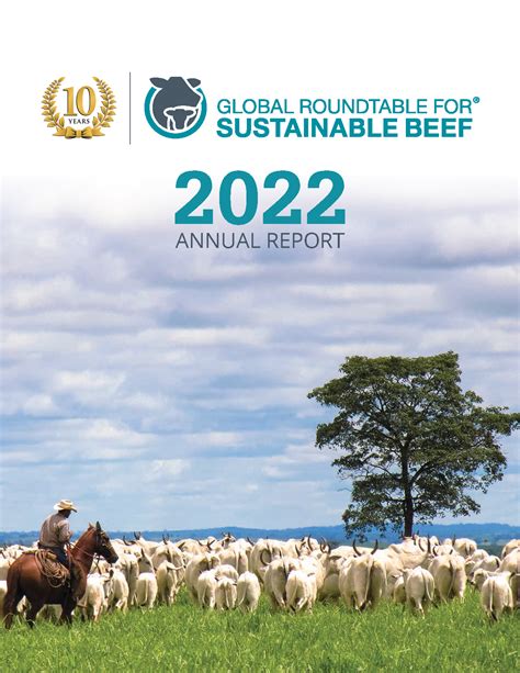 2022 Annual Report Global Roundtable For Sustainable Beef