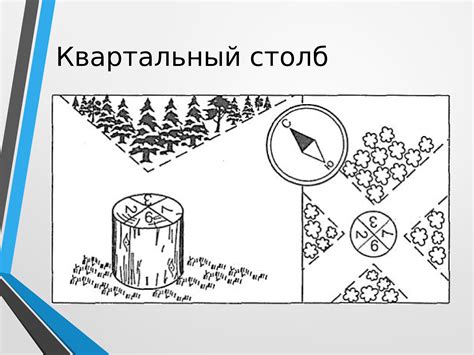 Способы ориентирования