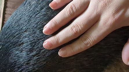 Amazon Beetles Jelly Gel Nail Polish Set 8 Colors Nude Sheer Pink Shimmer Gel Polish Soft