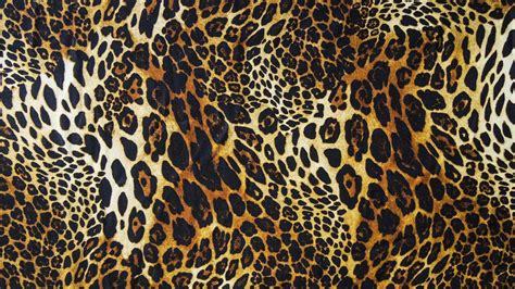 100 Cute Cheetah Print Wallpapers