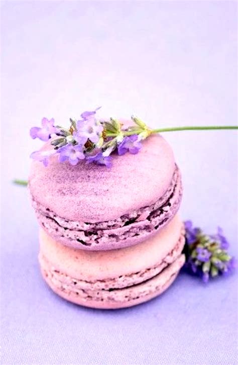 Маленькие эстетичные раскраски (32 фото)