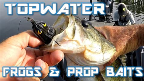 Topwater Frog And Prop Bait Bass Fishing Youtube